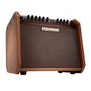 Fishman Loud box Mini Charge PRO-LBC-EU5 60 Watts Acoustic Guitar Amplifier