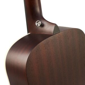 Tanglewood Lotus Series TLF-2E Special Edition Travel Size Semi Acoustic Guitar