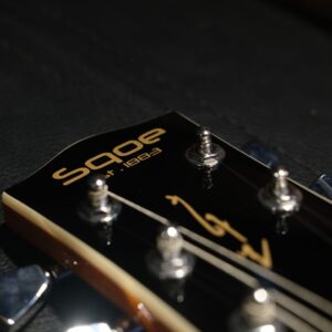 SQOE SELP110 Electric guitar Emerald Mist – Les Paul Style
