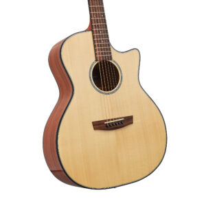 HEX GA400CE/G -HORNET SERIES WITH FISHMAN SONITONE