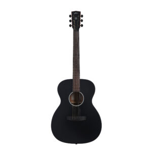 Hex F70M Acoustic - BT