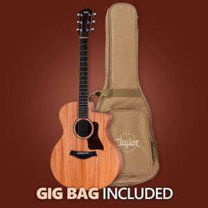 Taylor 24ce Grand Auditorium Electro Acoustic Guitar - Sapele