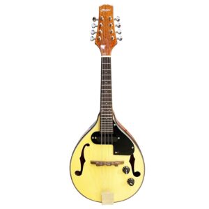 Hertz HZMAN EQ Mandolin With Bag