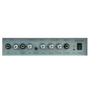 Hertz DG-20W Guitar Amplifier