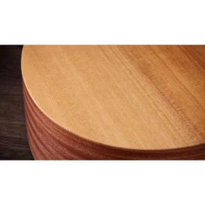 Taylor 14ce Grand Auditorium Cutaway Electro Acoustic Guitar