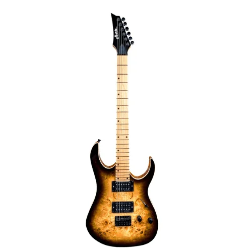 Hertz HR-606 Electric Guitar