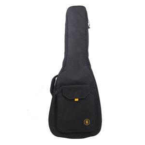 Hex F72M - Electro Acoustic guitar