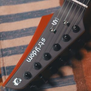 Strydom Smart Guitar AU01 - Desert Bloom