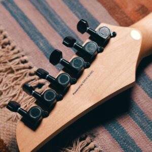 Strydom Smart Guitar AU01 - Desert Bloom