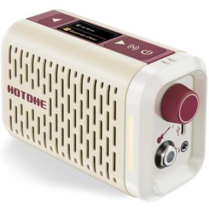 Hotone Pulze Mini AP-5WH Bluetooth Modeling Amplifie